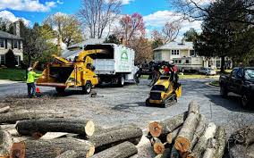 Best Firewood Processing and Delivery  in Sto Brook, NY
