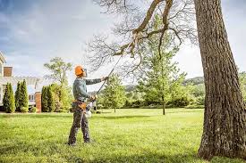 Best Tree Maintenance Programs  in Sto Brook, NY