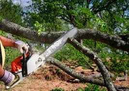 Best Lawn Irrigation Installation and Maintenance  in Sto Brook, NY