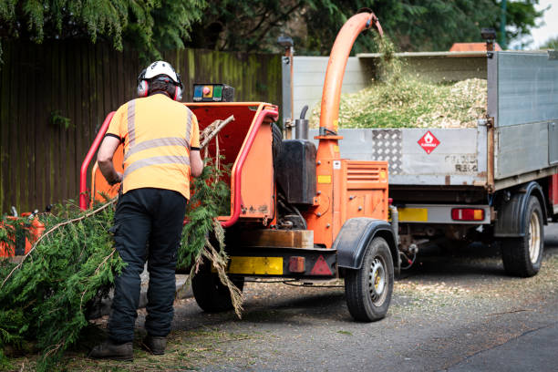 Best Organic Lawn Care Solutions  in Sto Brook, NY