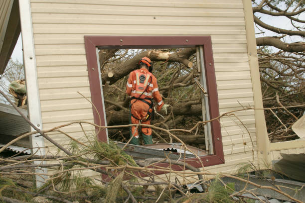 Best Tree Risk Assessment  in Sto Brook, NY