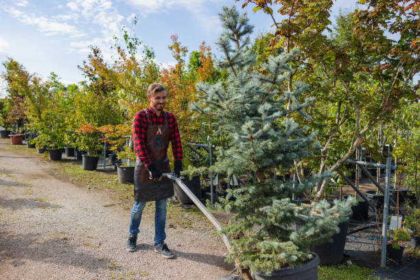 Leaf Removal in Stony Brook, NY